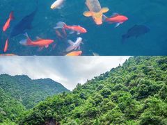 -严子陵钓台(富春江小三峡)