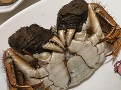 -稻香酒家·33年老字号·港式粤菜(富邦中心店)