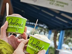 -Dooley's Premium Ice Cream
