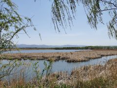 -野鸭湖国家湿地公园