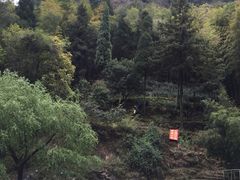 -温州山水家园农庄