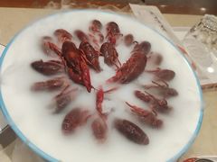 -杨氏青龙虾·羊蝎子(珠江路店)