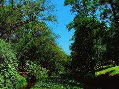 -承德避暑山庄景区