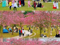-风云岭森林公园