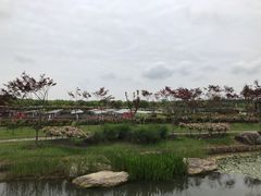 -上海鲜花港
