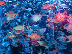 -成都浩海立方海洋公园