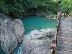 -广州白江湖森林公园