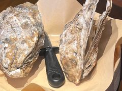 原只蒸生蚝-蚝得喜海鲜(东城店)