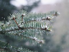 -吉林大学前卫校区南区-日新楼