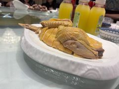 -席家花园(巨鹿花园店)