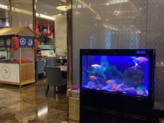 -宜昌富力皇冠假日酒店·咖啡1号西餐厅