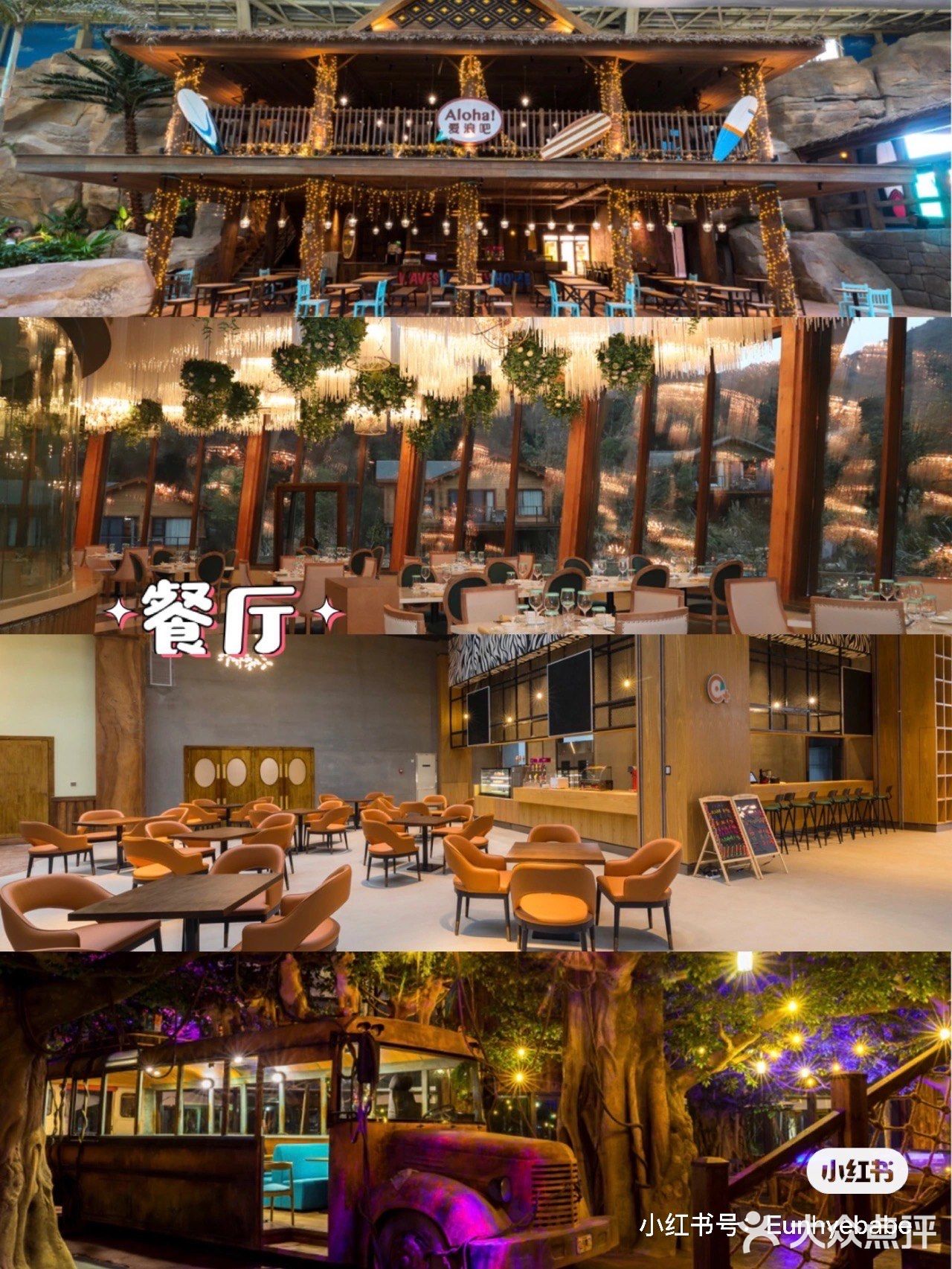 住不腻的树屋酒店