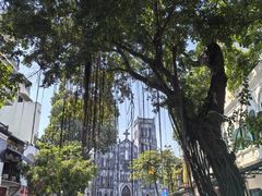 -圣约瑟夫大教堂