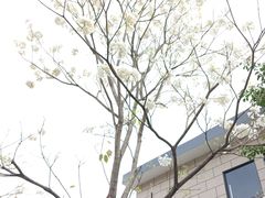 -燕晗山郊野公园