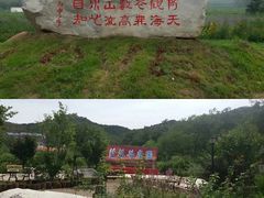 -金石滩蓝莓谷庄园