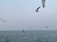 -星海广场
