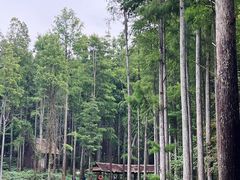 -波尔登森林公园