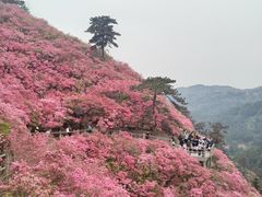 -木兰云雾山