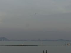 -尚贤河湿地