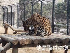 -北京野生动物园