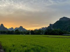 -明仕田园
