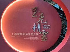 -上海博物馆(人民广场馆)