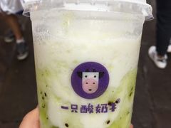 -一只酸奶牛(时代天街A馆店)