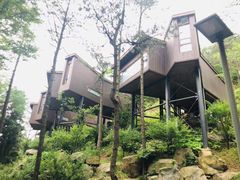 -溪口商量岗景区