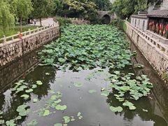 -水绘园