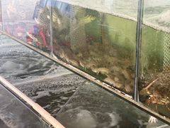 -蚝乡农庄(铁涌赤岸店)