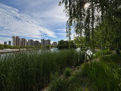 -新江湾城公园