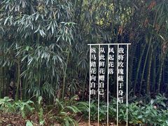 -云溪植物园