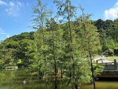 -广州市帽峰山景区