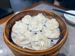 鲜肉小笼-莱莱小笼·乔艾