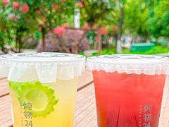 -炖物24章·顺时轻养茶(杭州大厦店)