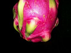 -果唯伊(共和新路店)