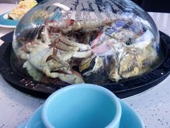 -日照海滨国家森林公园