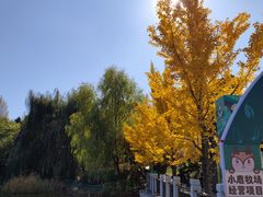 -王府井奥莱棋盘山小镇