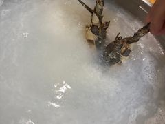 -吉友粥底火锅(方斜路店)