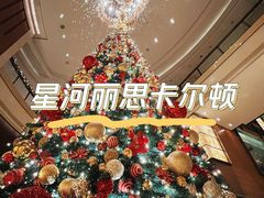 -深圳星河丽思卡尔顿酒店