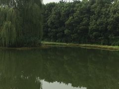 -昆山城市生态森林公园