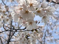 -龙美术馆(西岸馆)