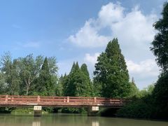-上海滨江森林公园