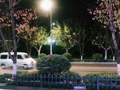 -全乐鱼馆·淳牌有机鱼直营店