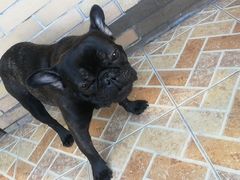 -喵汪宠物生活馆(涞坊路店)