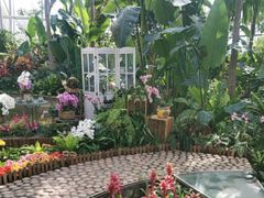 -北京植物园-展览温室
