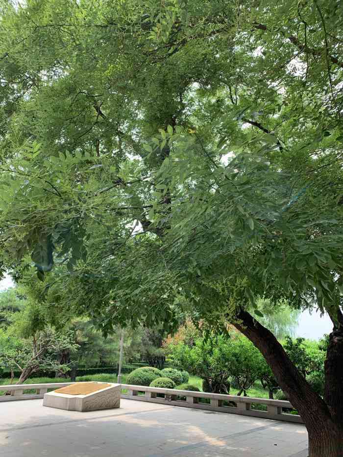 德胜公园-"比较常走的是鼓楼这半段大部分时候只能是.