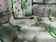 -太原动物园