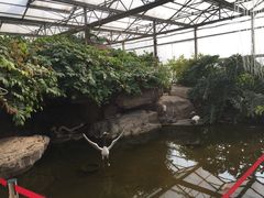 -万源龙顺度假庄园生态观光园