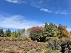 -长春公园(普阳街道)